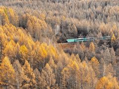 -莫尔道嘎国家森林公园