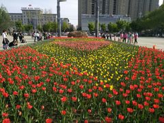 -长春公园(普阳街道)