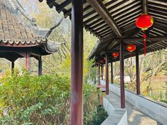 -上海醉白池公园