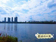 -长白岛森林公园