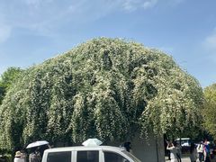 -信义坊码头