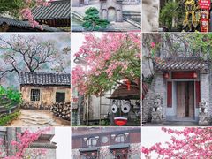 -风云岭森林公园