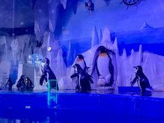 -多彩贵州城极地海洋世界