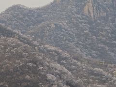 -龙泉峪长城