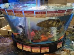 -陶陶居海鲜酒家(新马路店)