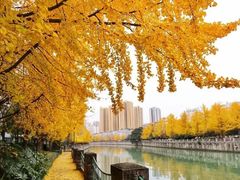 -温江公园