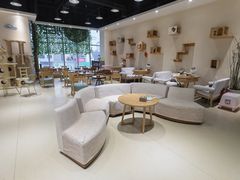 -藏猫猫咖啡主题馆(中央大道店)