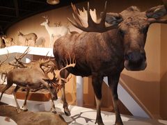 -陕西自然博物馆