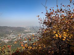 -香山公园