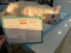 -瑞派雷欧宠物医院·24h夜诊·心脏骨科牙科·全科重症转诊中心(无影山店)