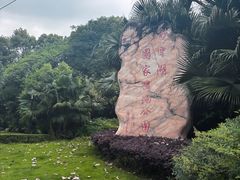 -重庆彩云湖湿地公园