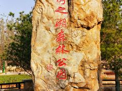 -静之湖湖畔餐厅