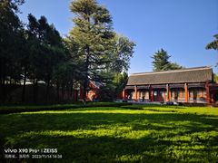 -洛阳白马寺