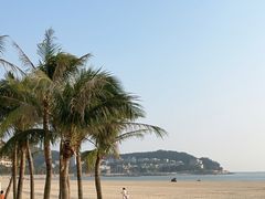 -螺洲公园