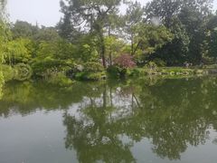 -西湖游船