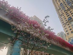 -建业路(地铁站)