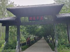 -合肥滨湖国家森林公园