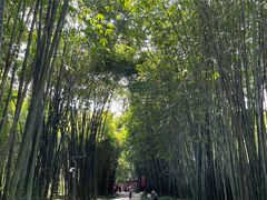 -望江楼公园