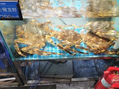 -77号渔船·蒸海鲜青岛菜(积米崖店)