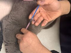 -中农国际动物医院24小时·猫科·骨科·急重症中心