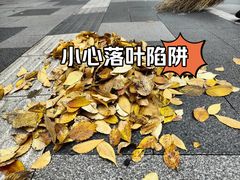 -四川大学(华西校区)