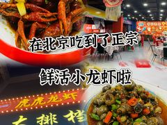 -虎虎龙虾大排档(双井店)