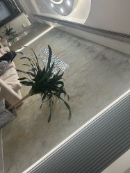 -上海首尔丽格医疗美容医院