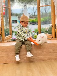 -DORA kids 朵拉儿童摄影花园店