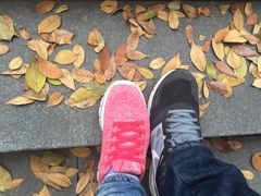 -上海佘山国家森林公园西佘山园