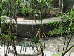-龙达温泉生态城