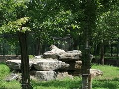 -秦皇岛野生动物园