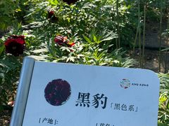 -太阳宫公园