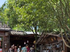 -青城甲(青城山店)