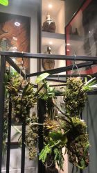 -周忆刺青原创设计定制