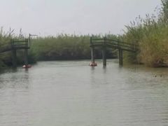 -泗洪洪泽湖湿地景区