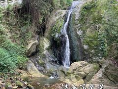 -南山植物园
