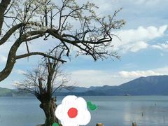 -丽江泸沽湖景区