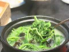 上汤春菜苗-广州酒家(文昌总店)