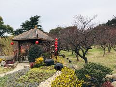 -无锡梅园公园
