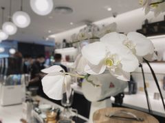 -Peet's Coffee皮爷咖啡(德基店)