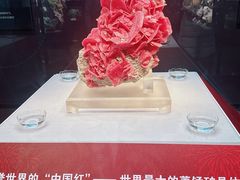 -湖南省地质博物馆