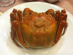 iphone_upload_pic-王宝和酒家(黄浦店)