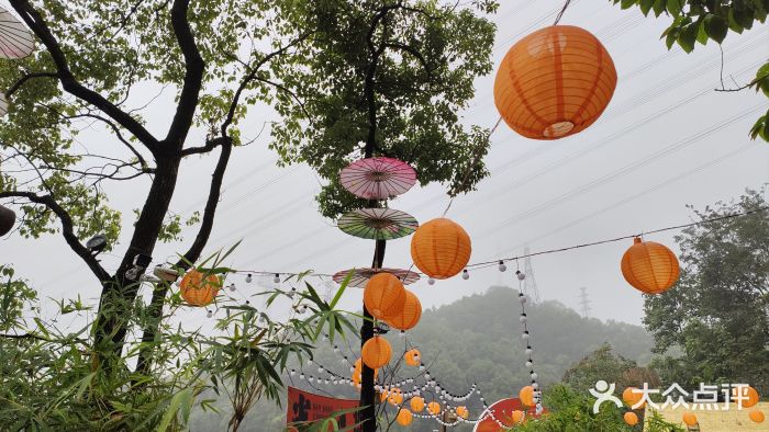 伴山茶苑·一盏冰茶·半日山居图片