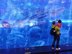 -成都浩海立方海洋公园