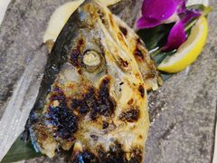 -隐初·SUSHI·美式日本料理