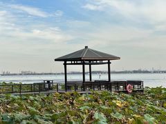 -莲花岛景区