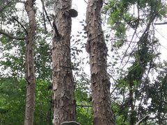 -天台山赤城山景区