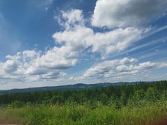 -塞罕坝国家级自然保护区