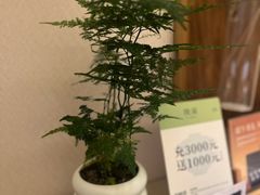 -隐溪茶馆(静安寺店)