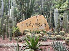 -深圳仙湖植物园